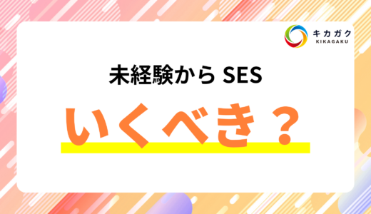 SES にいくしかない？未経験エンジニアのキャリア戦略！本当に正しい選択とは